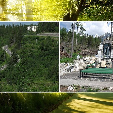索利斯克公寓酒店 Vysoké Tatry 外观 照片