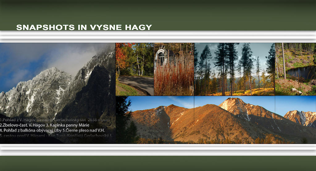 索利斯克公寓酒店 Vysoké Tatry 客房 照片